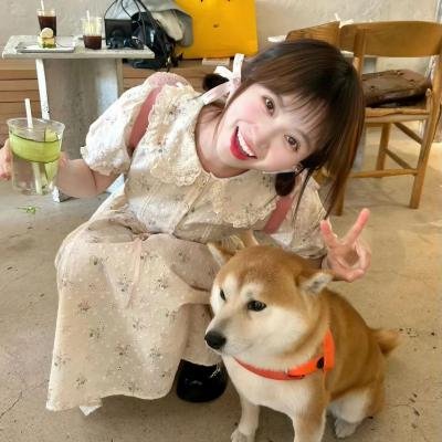 花心梦里人